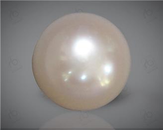  Pearl (Cultured) 10.32CTS-10457